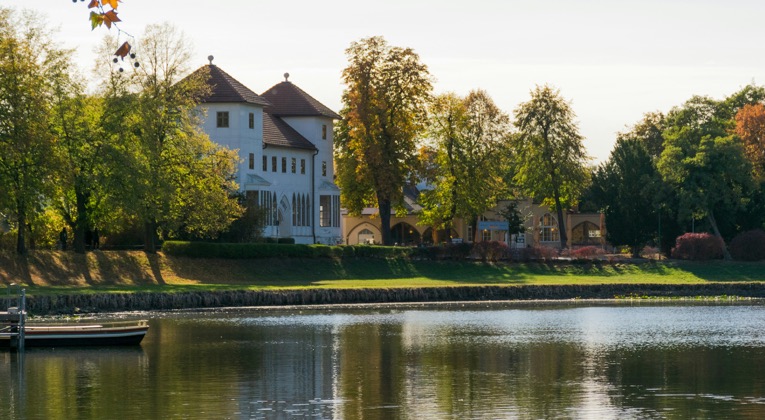 Der Historische Eichenkranz am Wörlitzer See im Herbst